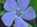 <b>Plants For A Future</b> - Database Search